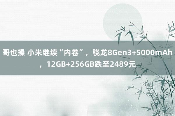 哥也操 小米继续“内卷”，骁龙8Gen3+5000mAh，12GB+256GB跌至2489元