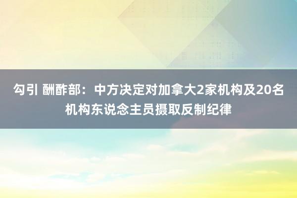 勾引 酬酢部：中方决定对加拿大2家机构及20名机构东说念主员摄取反制纪律