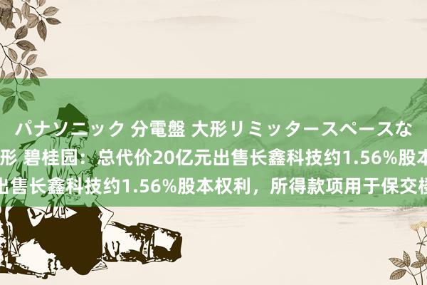 パナソニック 分電盤 大形リミッタースペースなし 露出・半埋込両用形 碧桂园：总代价20亿元出售长鑫科技约1.56%股本权利，所得款项用于保交楼