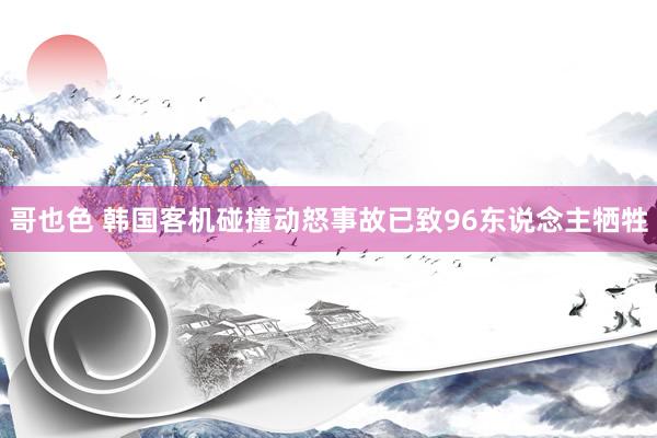 哥也色 韩国客机碰撞动怒事故已致96东说念主牺牲