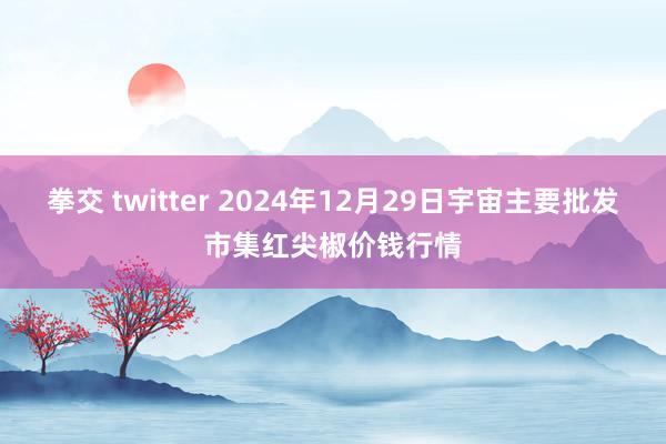 拳交 twitter 2024年12月29日宇宙主要批发市集红尖椒价钱行情