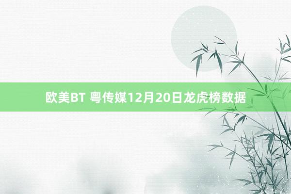 欧美BT 粤传媒12月20日龙虎榜数据