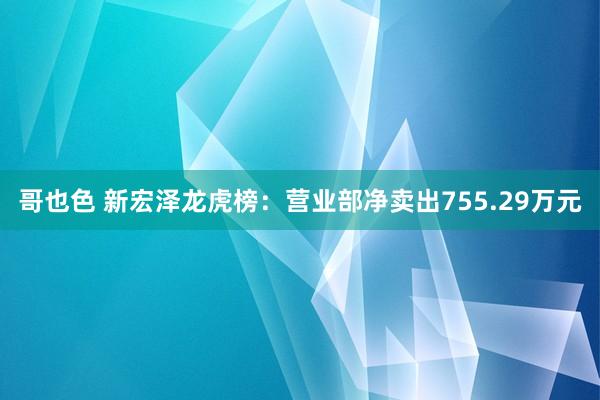 哥也色 新宏泽龙虎榜：营业部净卖出755.29万元