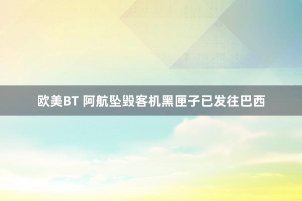 欧美BT 阿航坠毁客机黑匣子已发往巴西