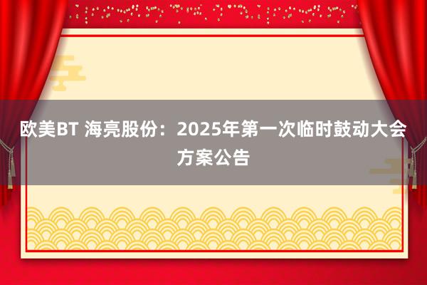 欧美BT 海亮股份：2025年第一次临时鼓动大会方案公告