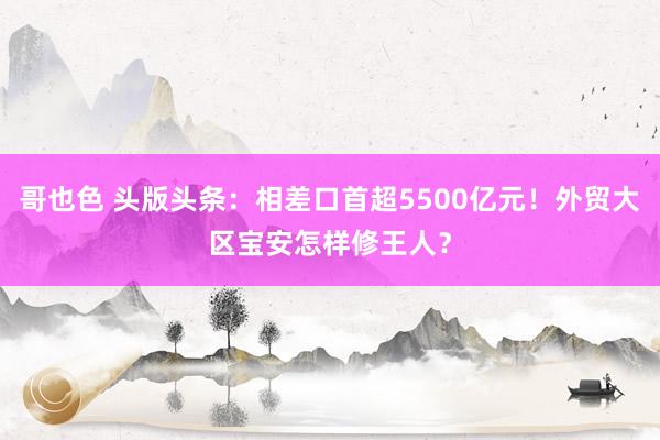 哥也色 头版头条：相差口首超5500亿元！外贸大区宝安怎样修王人？