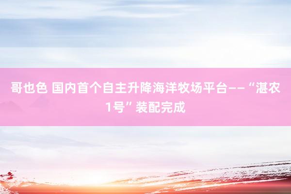 哥也色 国内首个自主升降海洋牧场平台——“湛农1号”装配完成