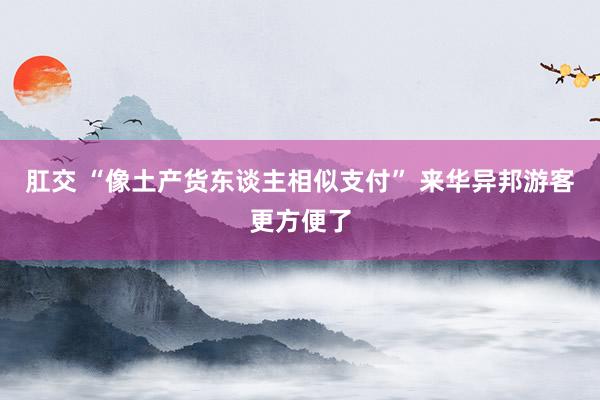 肛交 “像土产货东谈主相似支付” 来华异邦游客更方便了