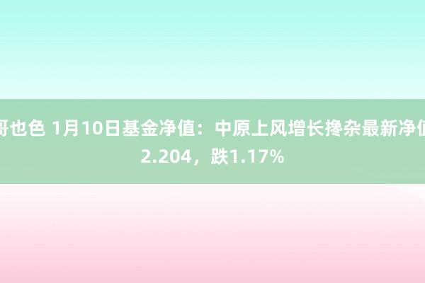 哥也色 1月10日基金净值：中原上风增长搀杂最新净值2.204，跌1.17%