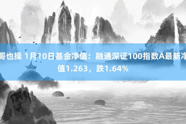 哥也操 1月10日基金净值：融通深证100指数A最新净值1.263，跌1.64%