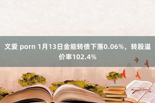 文爱 porn 1月13日金能转债下落0.06%，转股溢价率102.4%