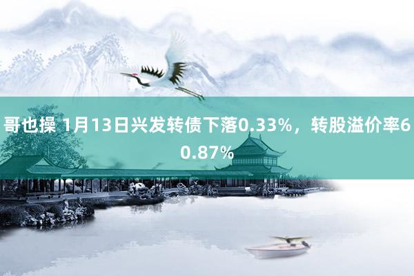 哥也操 1月13日兴发转债下落0.33%，转股溢价率60.87%