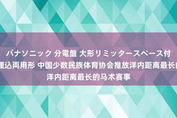 パナソニック 分電盤 大形リミッタースペース付 露出・半埋込両用形 中国少数民族体育协会推放洋内距离最长的马术赛事