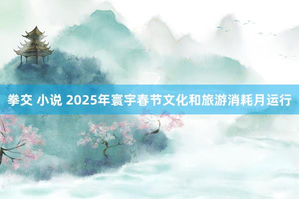 拳交 小说 2025年寰宇春节文化和旅游消耗月运行