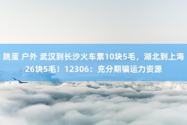 跳蛋 户外 武汉到长沙火车票10块5毛，湖北到上海26块5毛！12306：充分期骗运力资源