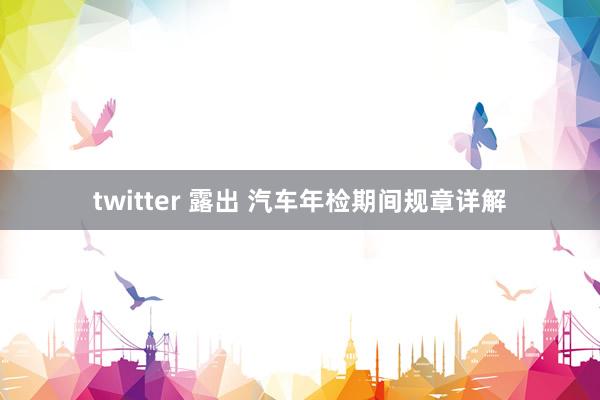 twitter 露出 汽车年检期间规章详解